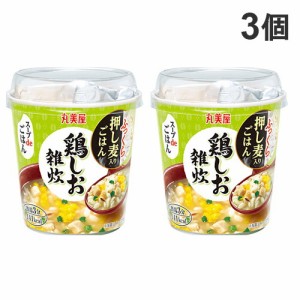 丸美屋 スープdeごはん 鶏しお雑炊 70.3g×3個