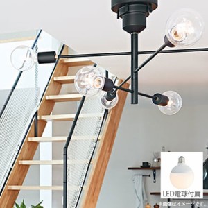 『取寄品』インターフォルム 天井照明 Astre アストル シーリングライト 6灯 LED電球付 LT-2678 多灯 リビング 寝室 おしゃれ『送料無料