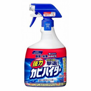 花王 強力カビハイター スプレー付 1000ml