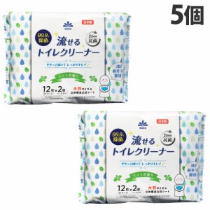 和光製紙 トイレ用掃除シート 99.9％除菌流せるトイレクリーナー ミントの香り 2P入×5個 トイレ 流せる 掃除シート 洗浄シート 掃除 清