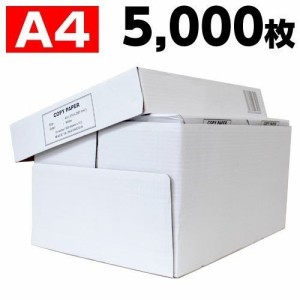 コピー用紙　A4　5000枚　高白色（500枚×10冊） 印刷用紙 白紙 用紙 A4サイズ PPC用紙 OA用紙 【FM5724】『送料無料（一部地域除く）』