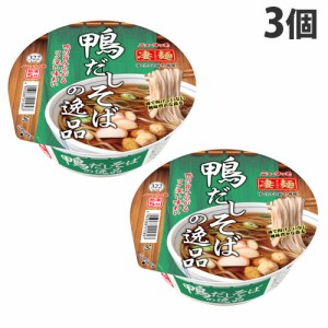 ヤマダイ 凄麺 鴨だしそばの逸品 117g×3個 そば 蕎麦 カップ麺 カップそば インスタント 即席