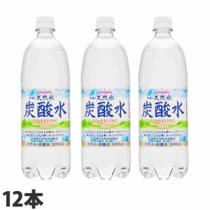 【お1人様1箱限り】サンガリア 伊賀の天然水炭酸水 1L×12本