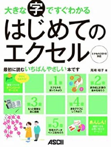 大きな字ですぐわかる はじめてのエクセル エクセル 2010対応(中古品)