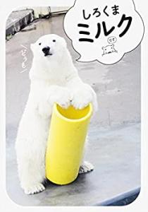 【中古】 しろくまミルク/ＫＡＤＯＫＡＷＡ しろくまミルク(中古品)の通販はau PAY マーケット - 丸山企画