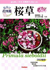 色分け花図鑑 桜草—名前の由来と品種がわかる(中古品)