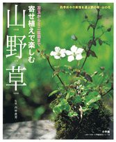 寄せ植えで楽しむ山野草—苔玉からミニ盆栽まで (LADY BIRD小学館実用シリ (中古品)