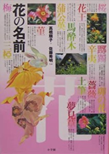 花の名前(中古品)