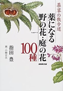 薬草の散歩道 薬になる野の花・庭の花100種(中古品)