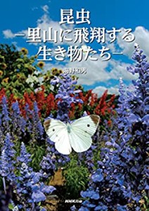 昆虫-里山に飛翔する生き物たち(未使用 未開封の中古品)