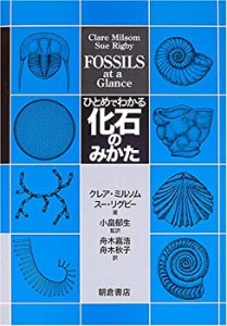 ひとめでわかる化石のみかた(中古品)