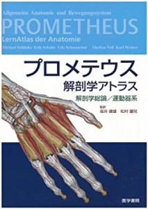 プロメテウス解剖学アトラス 解剖学総論/運動器系(中古品)