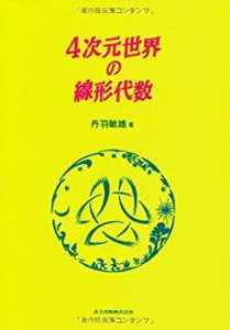 4次元世界の線形代数(中古品)