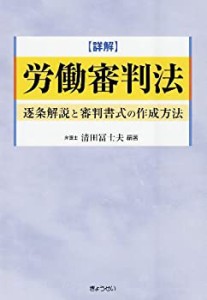 詳解 労働審判法―逐条解説と審判書式の作成方法(中古品)