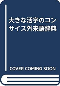 大きな活字のコンサイス外来語辞典(中古品)