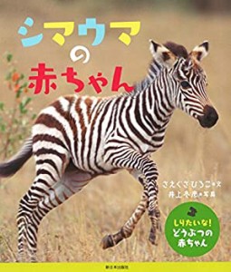 シマウマの赤ちゃん (しりたいな! どうぶつの赤ちゃん)(中古品)