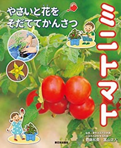 ミニトマト (やさいと花をそだててかんさつ)(未使用 未開封の中古品)