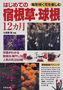 はじめての宿根草・球根12カ月―毎年咲く花を楽しむ 手順がわかる栽培法・ (中古品)