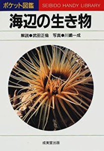 海辺の生き物 (ポケット図鑑)(中古品)