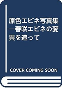 原色エビネ写真集―春咲エビネの変異を追って(中古品)