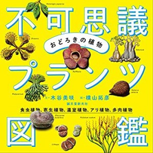 食虫 植物の通販｜au PAY マーケット｜2ページ目