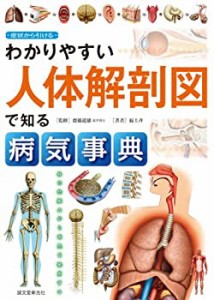 わかりやすい人体解剖図で知る病気事典: 症状から引ける(中古品)