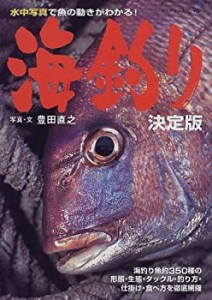 海釣り―決定版 (ビッグマンスペシャル)(中古品)