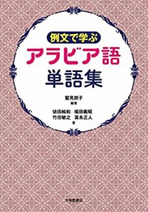 例文で学ぶ アラビア語単語集(中古品)