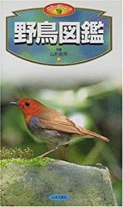 野鳥図鑑 (カラーポシェット)(中古品)