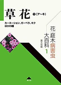 庭木の通販｜au PAY マーケット｜16ページ目