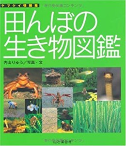 田んぼの生き物図鑑 (ヤマケイ情報箱)(中古品)