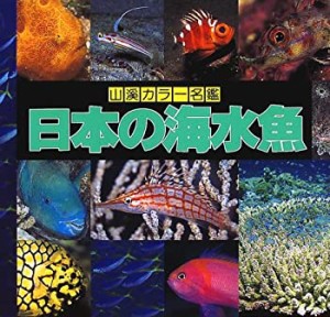日本の海水魚 (山渓カラー名鑑)(中古品)