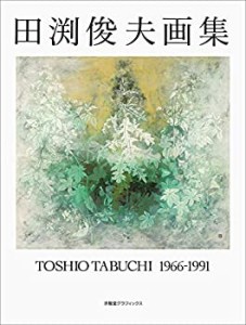 田渕俊夫画集 1966‐1991 (求龍堂グラフィックス)(中古品)