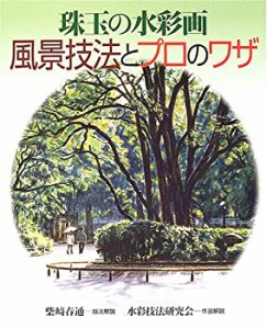 珠玉の水彩画 風景技法とプロのワザ(中古品)