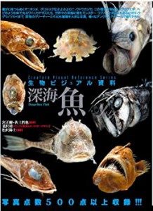 生物ビジュアル資料　深海魚(中古品)