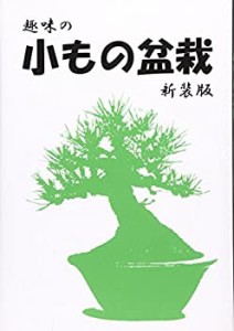 趣味の小もの盆栽(中古品)