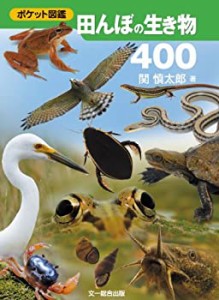 田んぼの生き物400 (ポケット図鑑)(中古品)