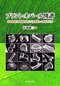 プラント・オパール図譜 -　走査型電子顕微鏡による植物ケイ酸体学入門(中古品)