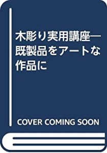 木彫り実用講座―既製品をアートな作品に(未使用 未開封の中古品)