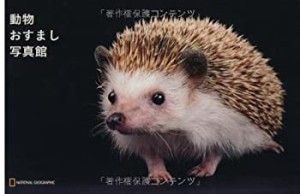 ナショジオ ワンダーフォトブック 動物おすまし写真館 (ナショジオワンダー(中古品)