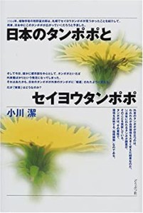 日本のタンポポとセイヨウタンポポ(中古品)