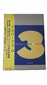 Yellows3.0 1994China(中古品)