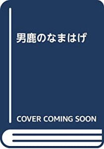 男鹿のなまはげ(中古品)