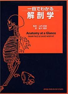 解剖学 改訂第2版　新品　未使用 41aWO-Wj9NL._AC_SY200_QL15_.jpg