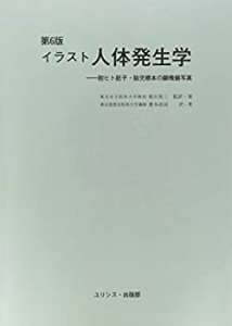 イラスト人体発生学(中古品)