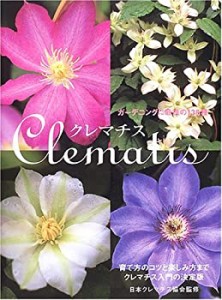 クレマチス(中古品)