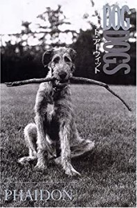 DOGDOGS(中古品)