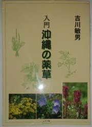 沖縄の薬草百科の通販｜au PAY マーケット