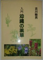 入門沖縄の薬草(中古品)