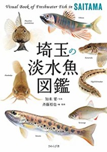 埼玉の淡水魚図鑑(中古品)